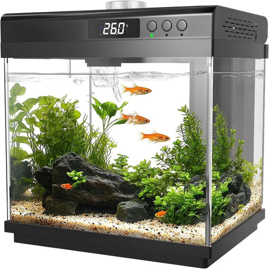 3.7 Gallon Aquarium Starter Kit