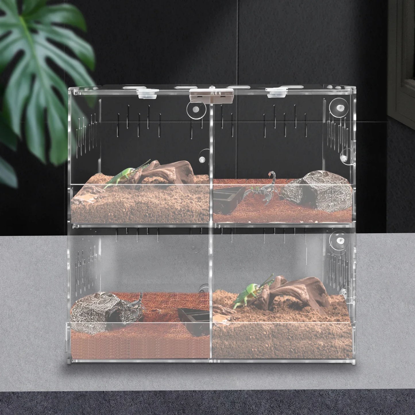 4-Grid Reptile Large Terrarium Acrylic Tank with Thermometer